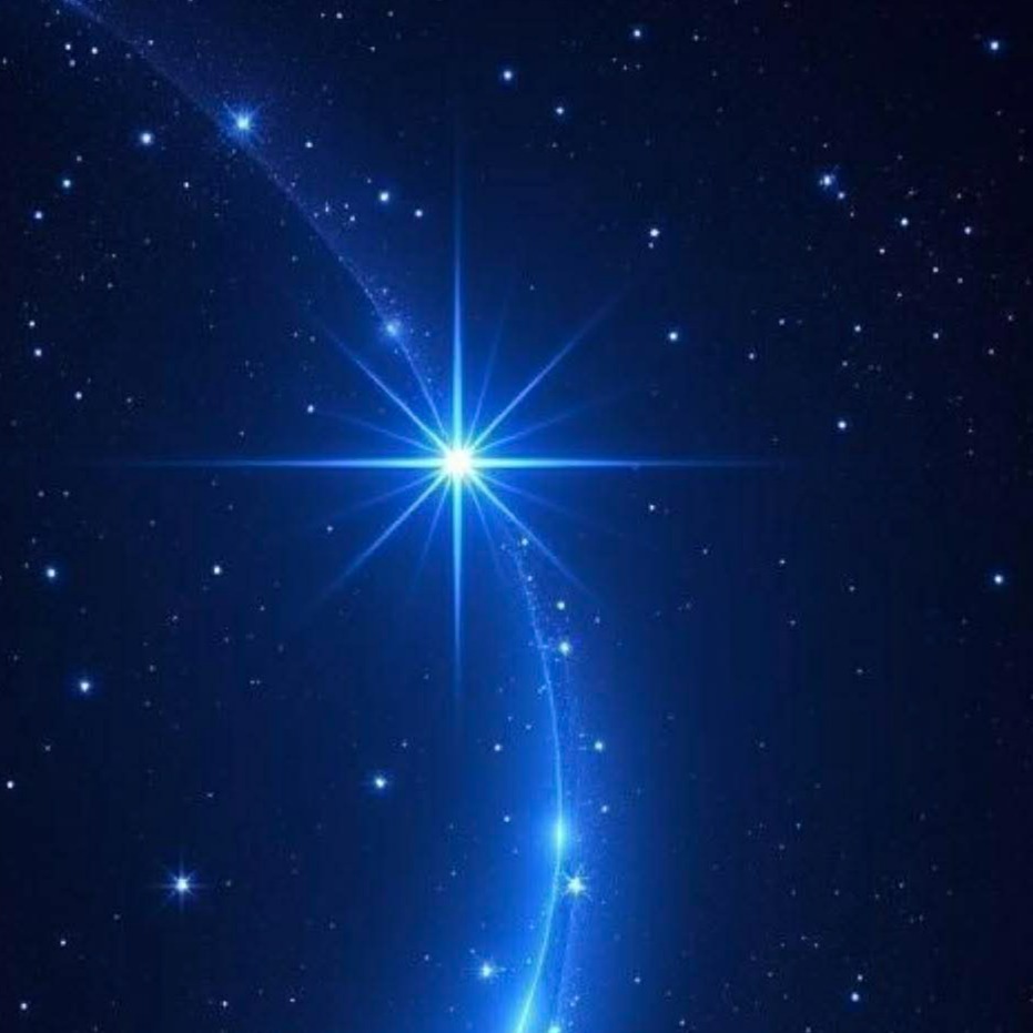 Image du participant