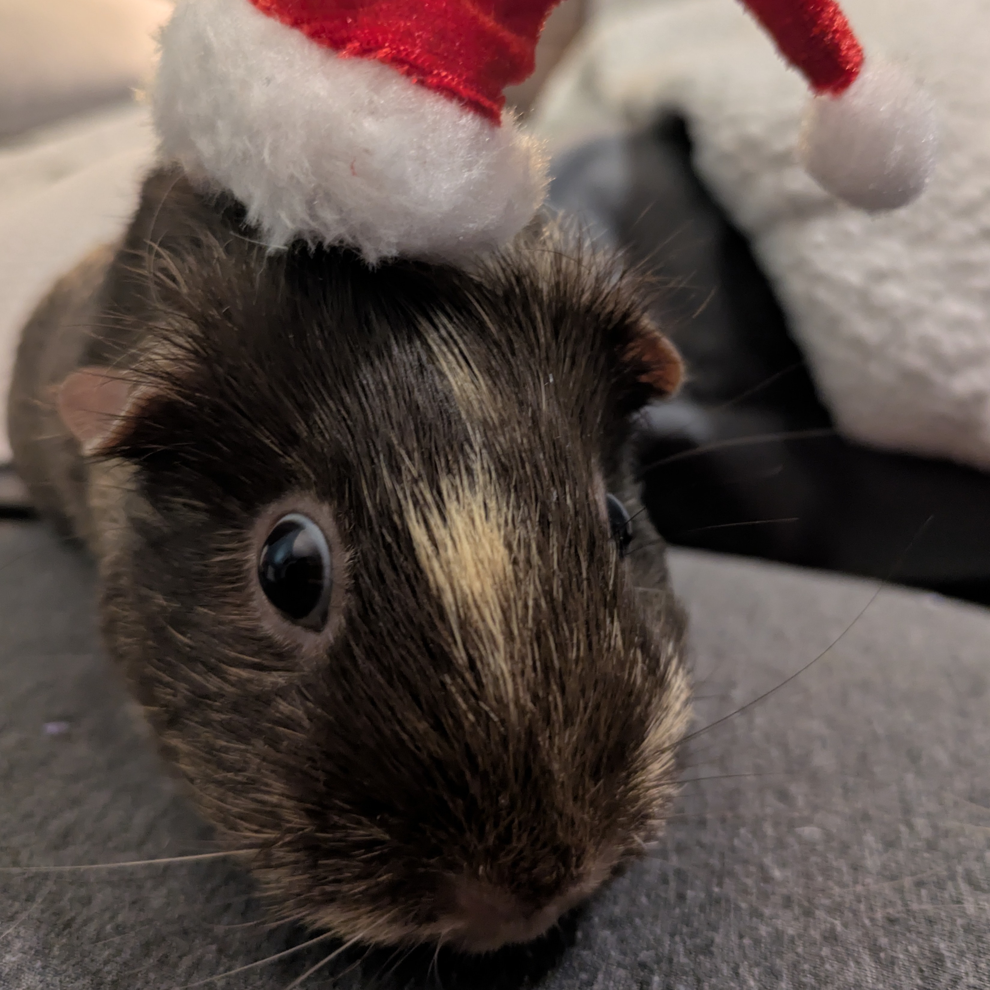 Image du participant