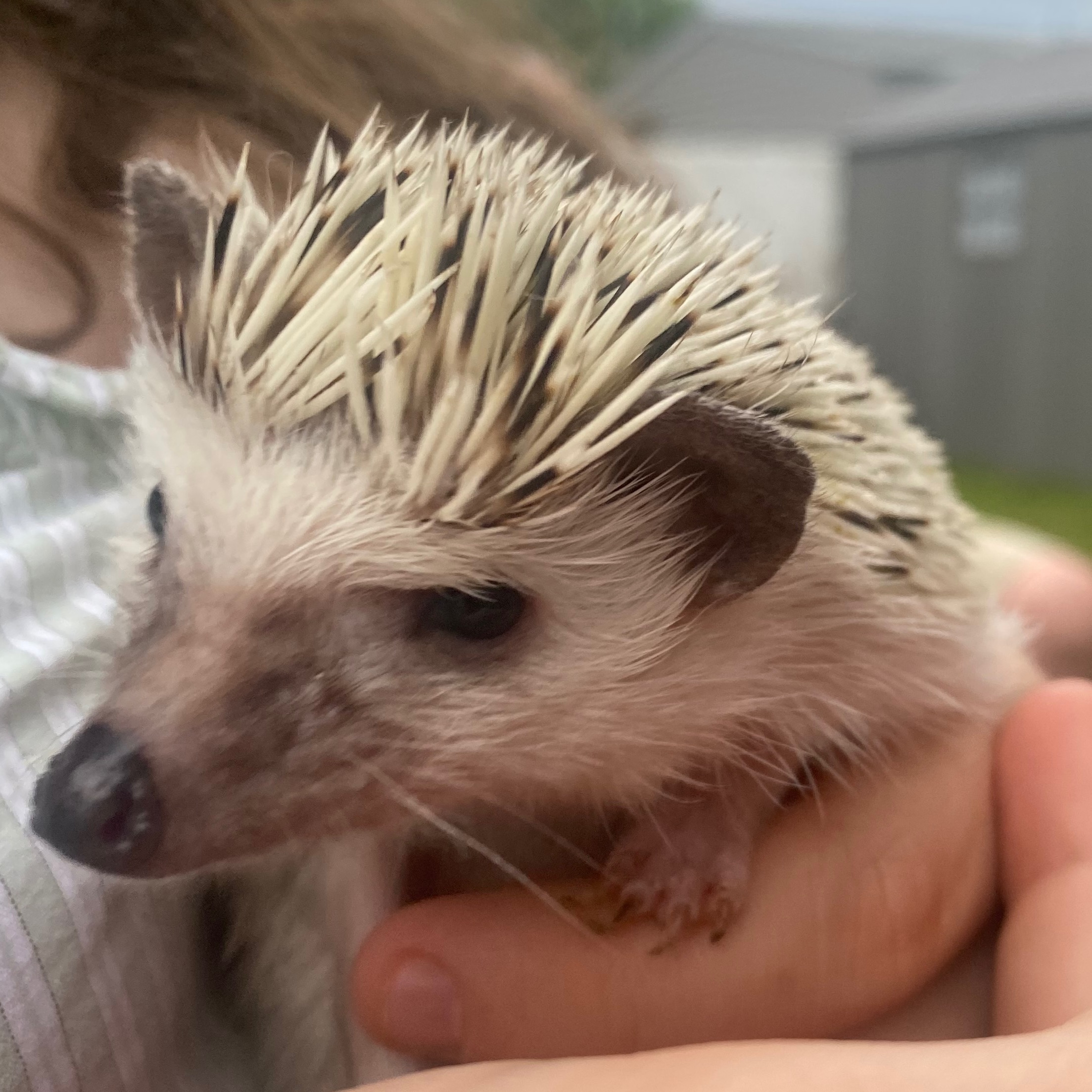 Image du participant