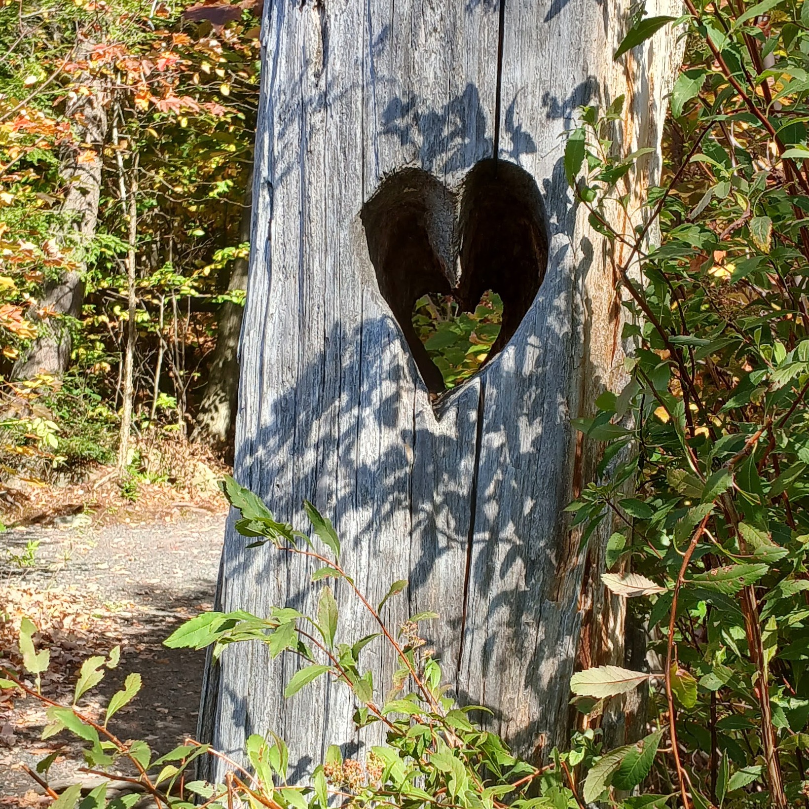 Image du participant