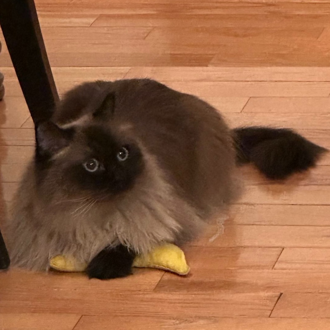 Image du participant