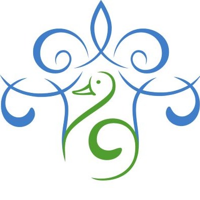 Image de l'équipe