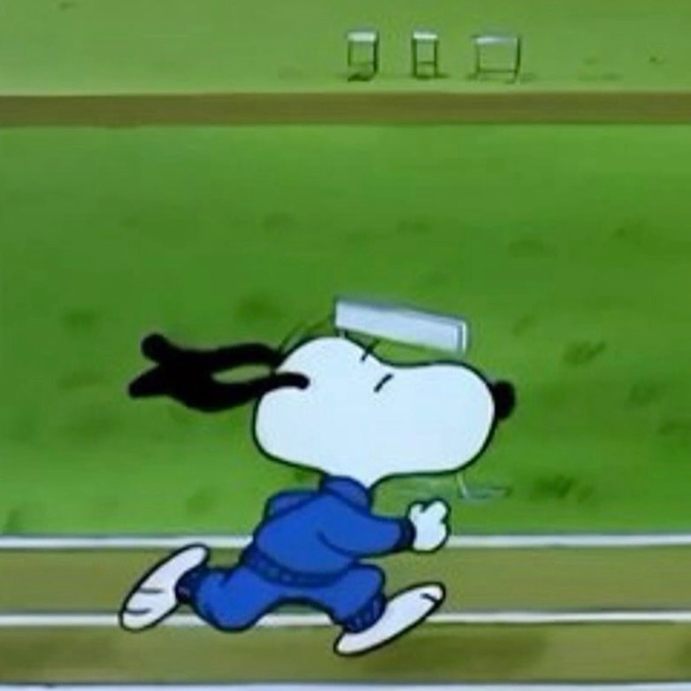 Image du participant