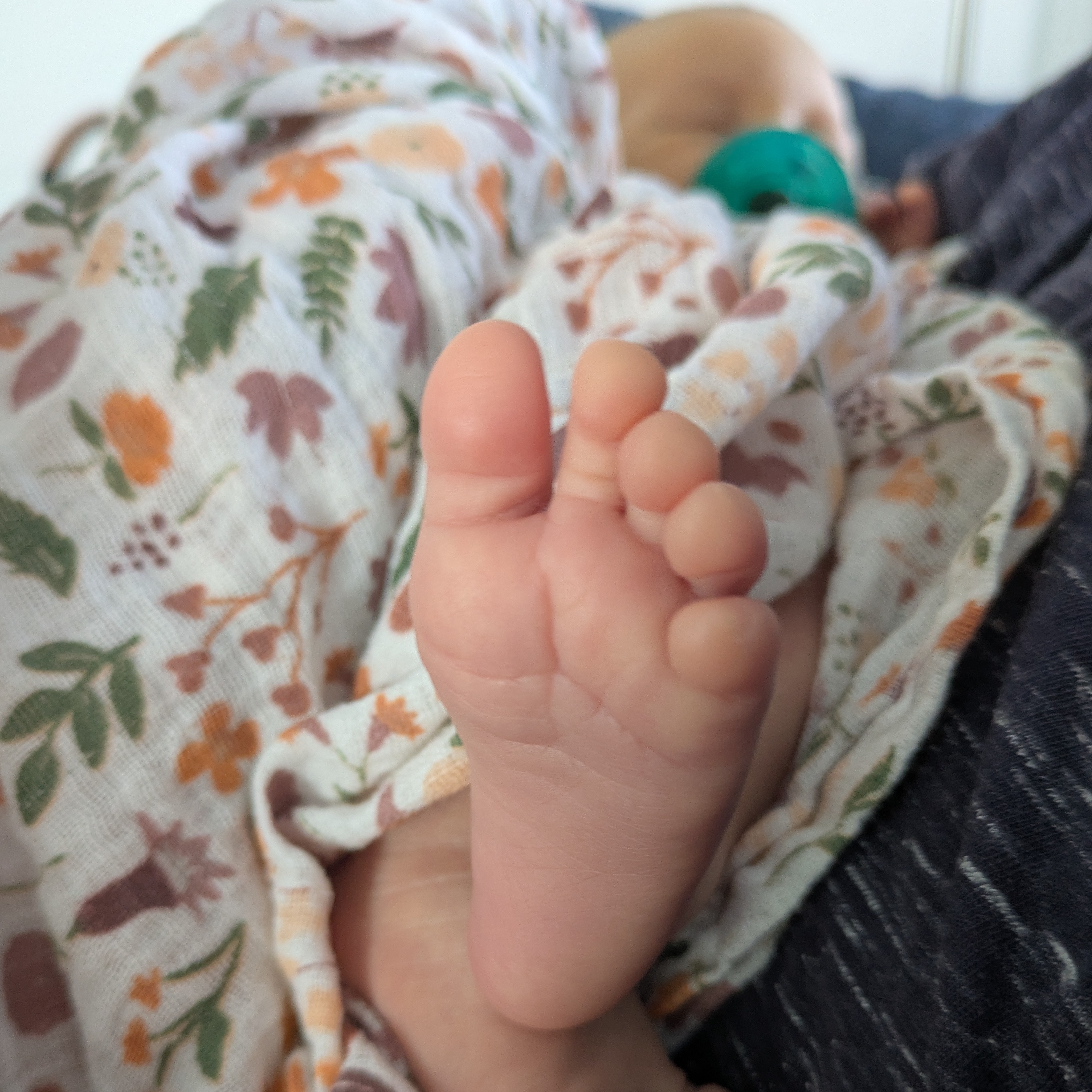 Image du participant