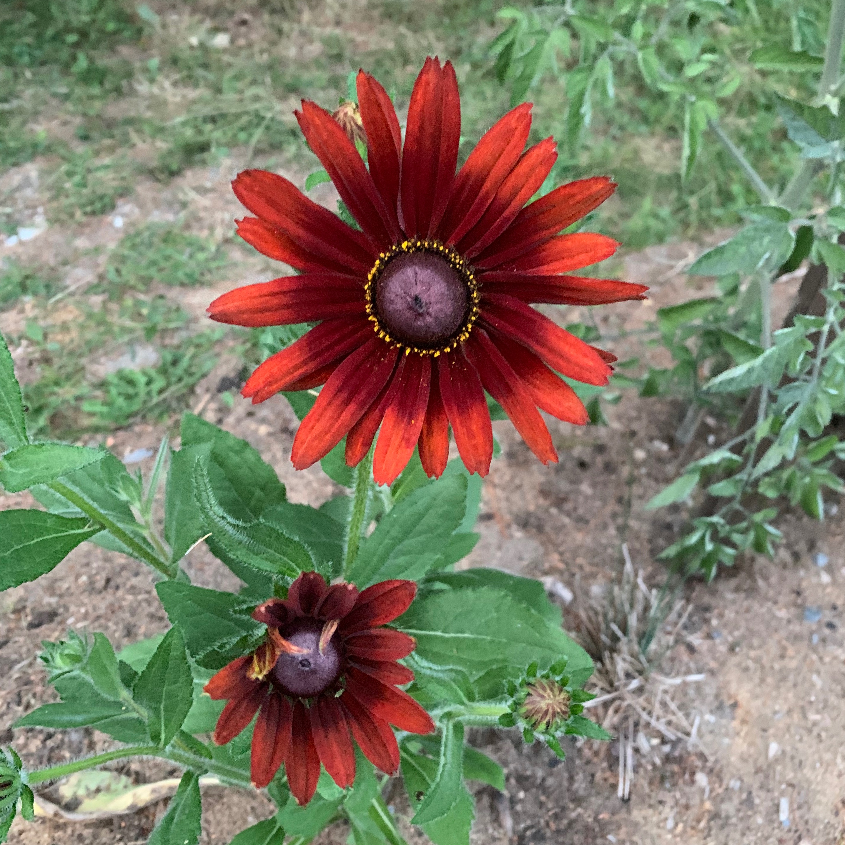 Image du participant