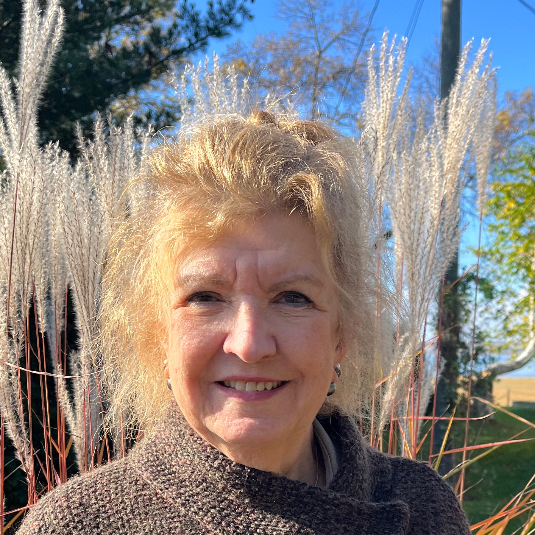 Image du participant