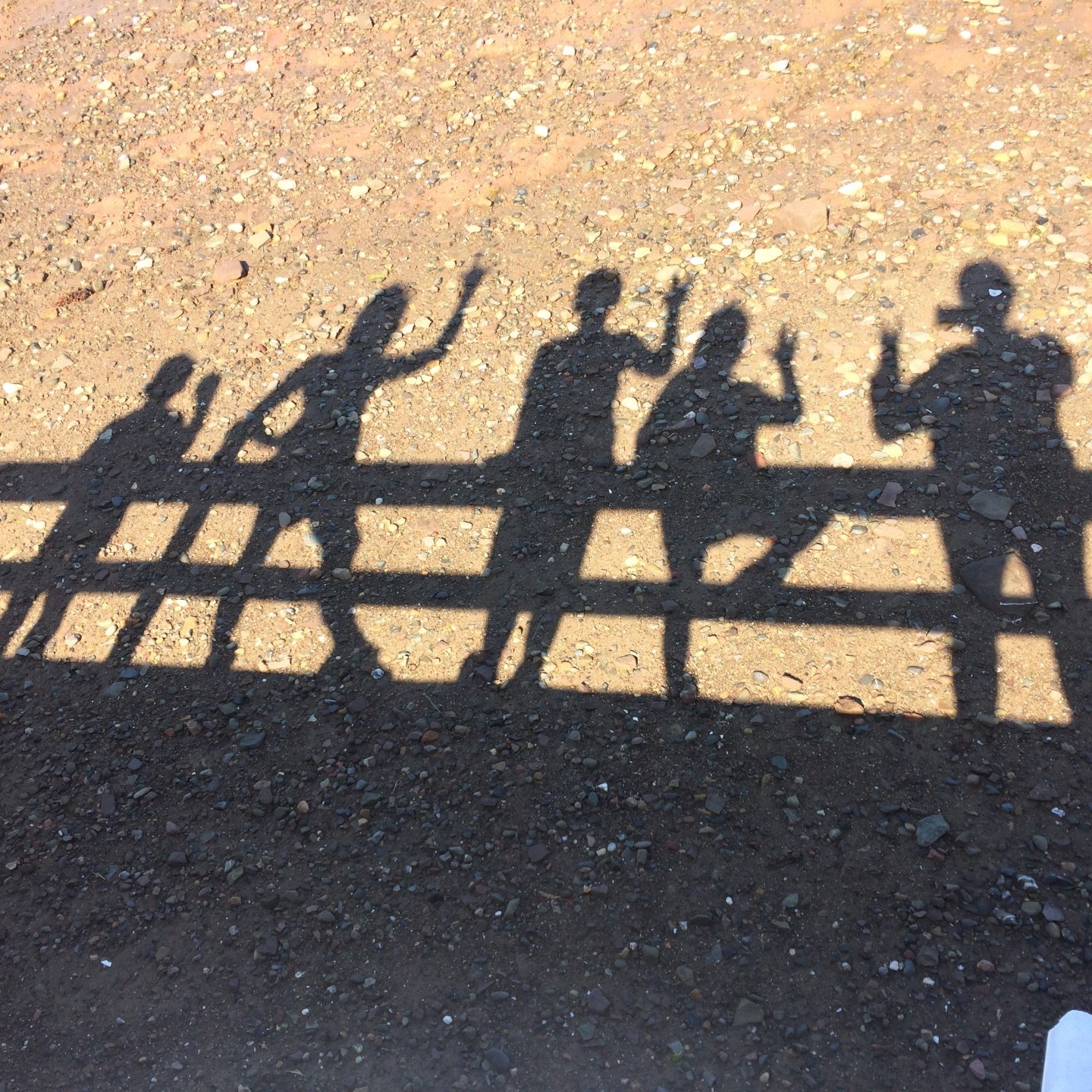 Image du participant