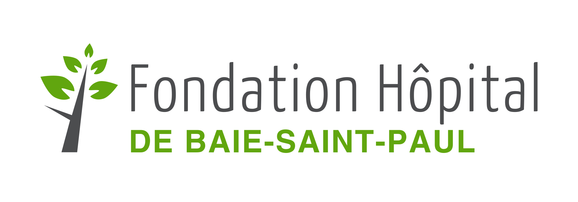 Don en ligne Fondation Hôpital de BaieSaintPaul Accueil