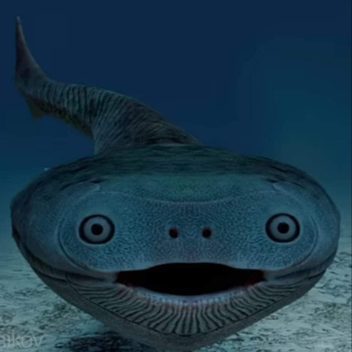 Image du participant