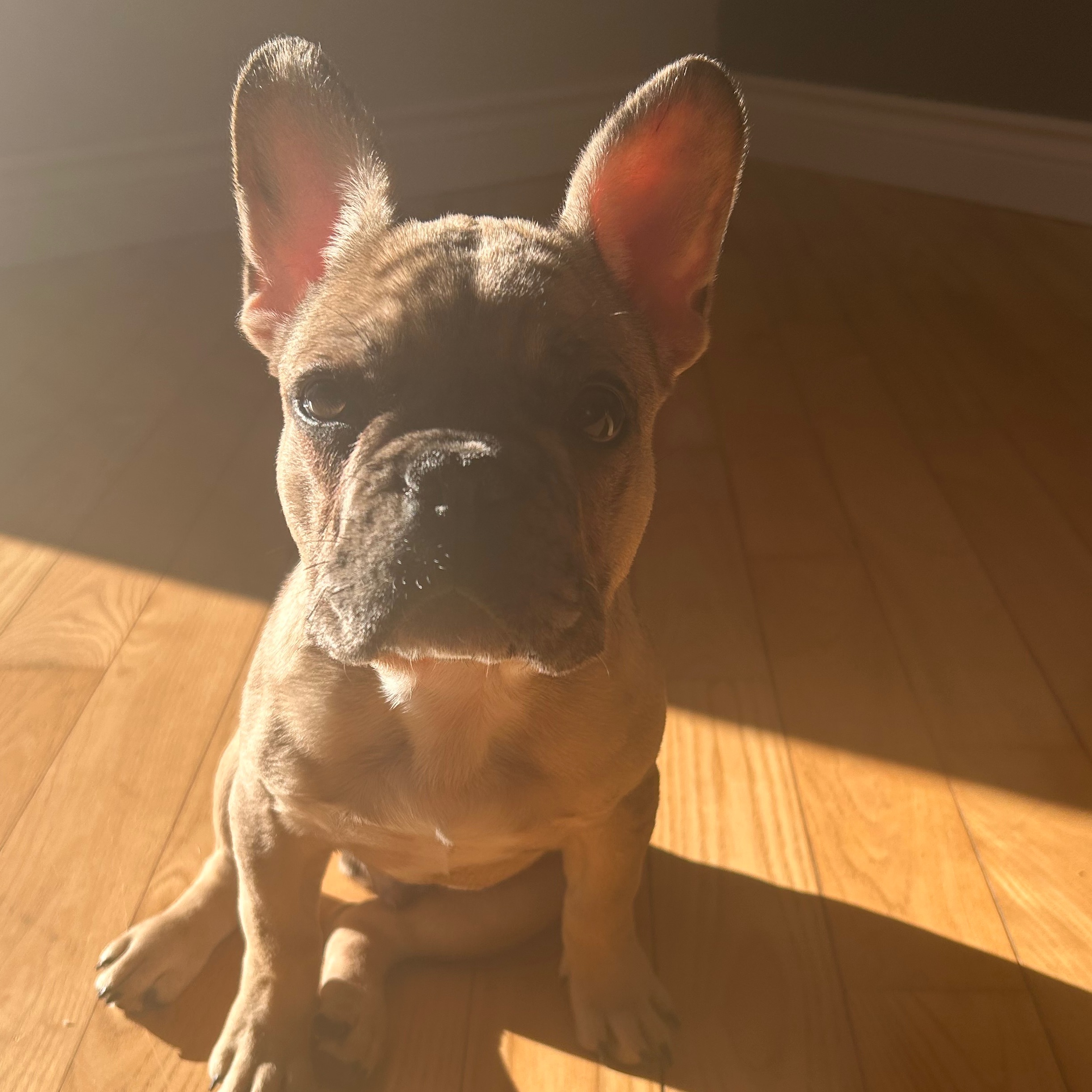 Image du participant