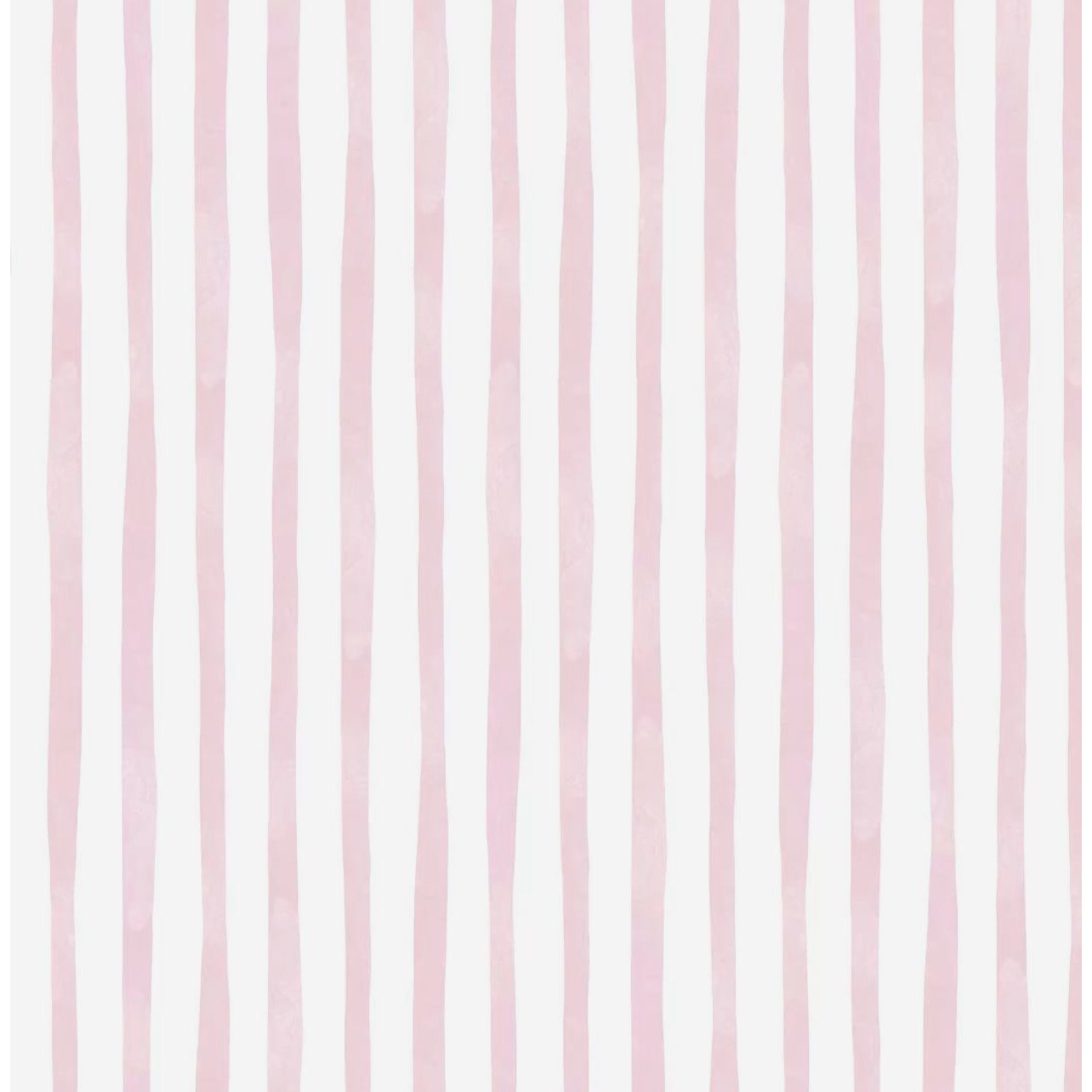 Image du participant