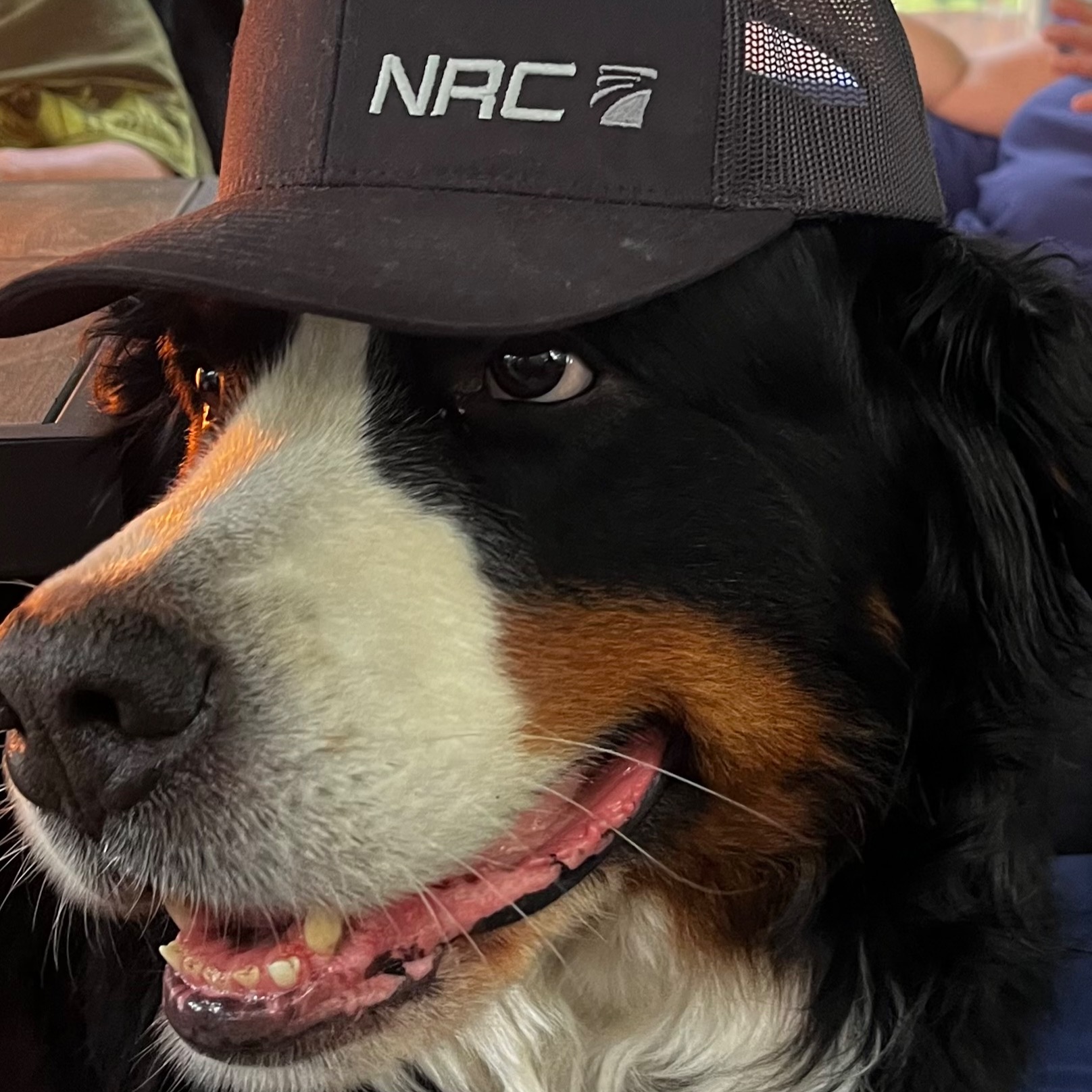 Image du participant