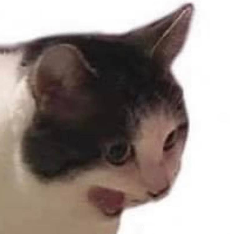 Image du participant
