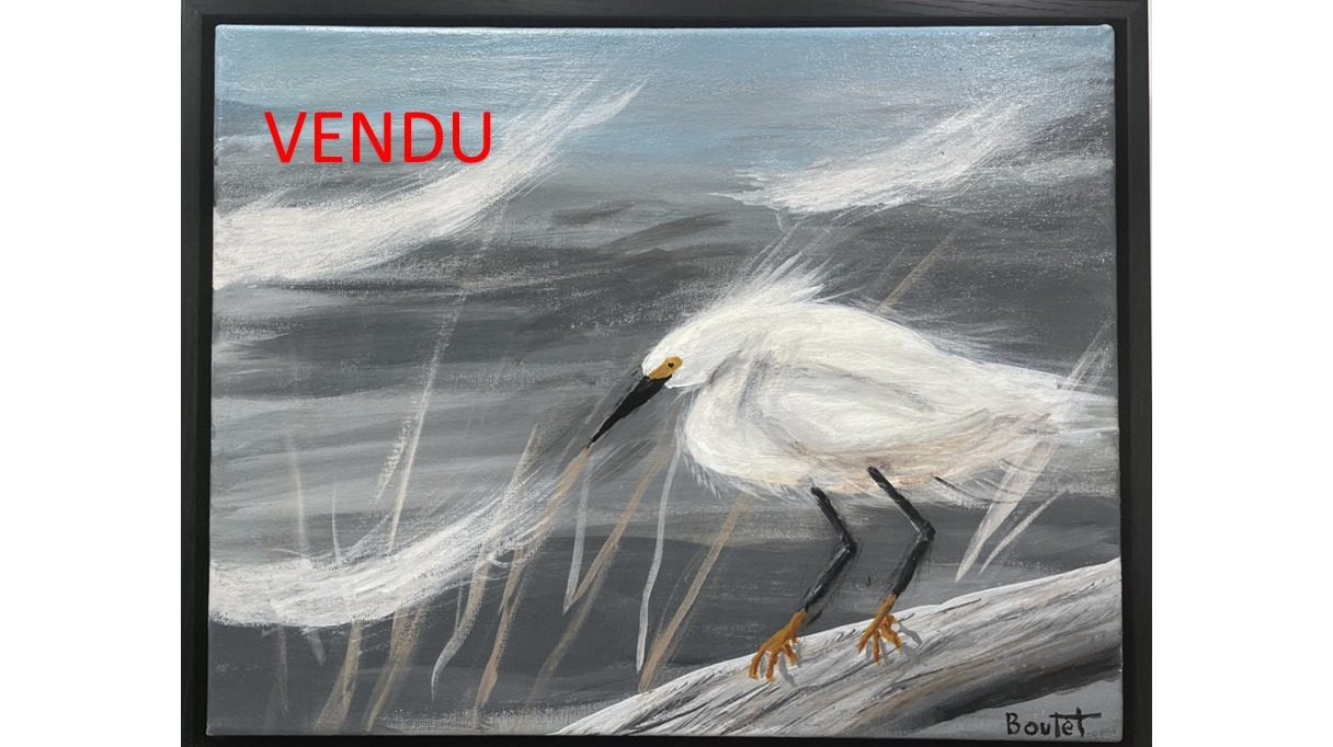 Image du défi