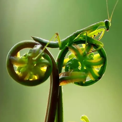 Image du participant