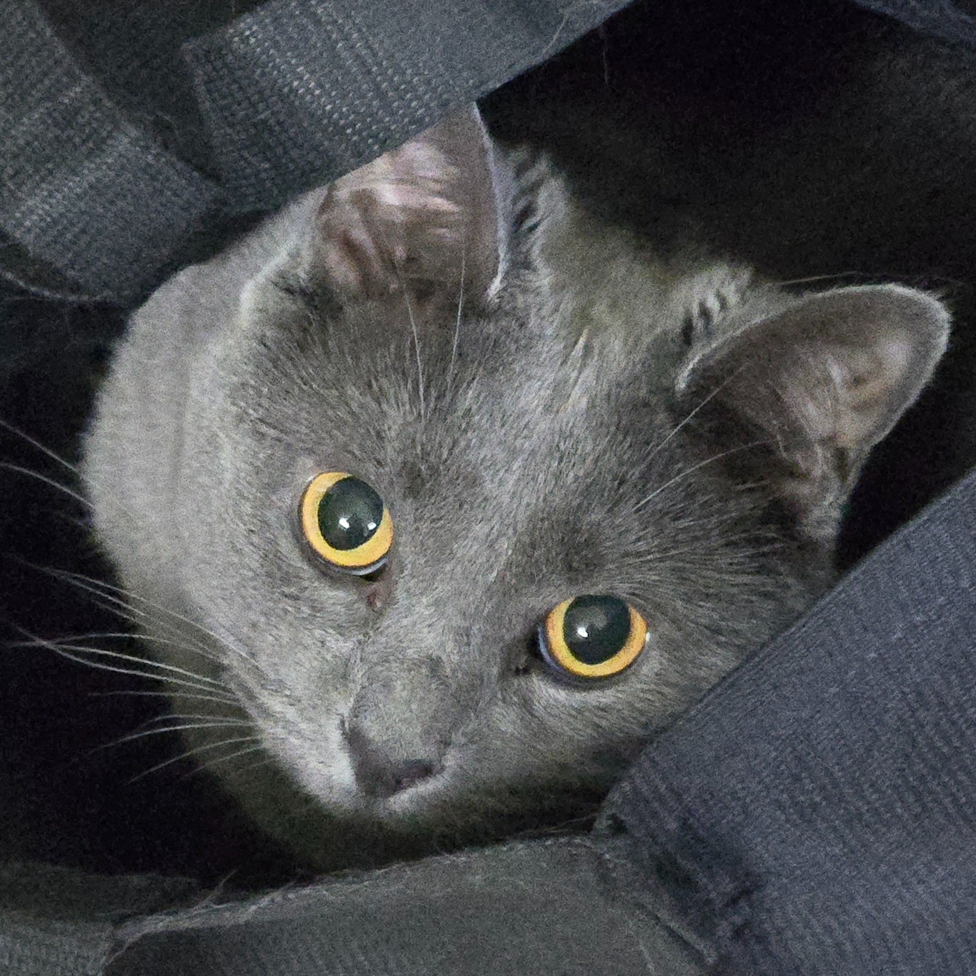 Image du participant