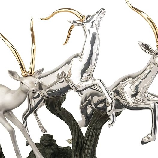 Image du participant