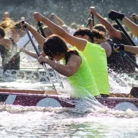 Image du participant