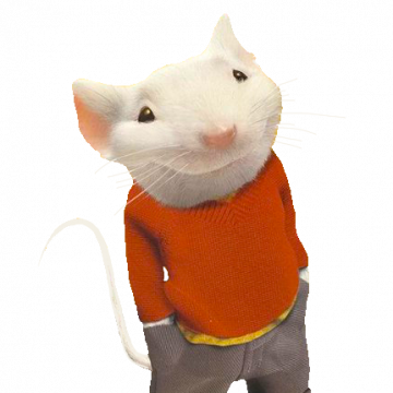 Image du participant