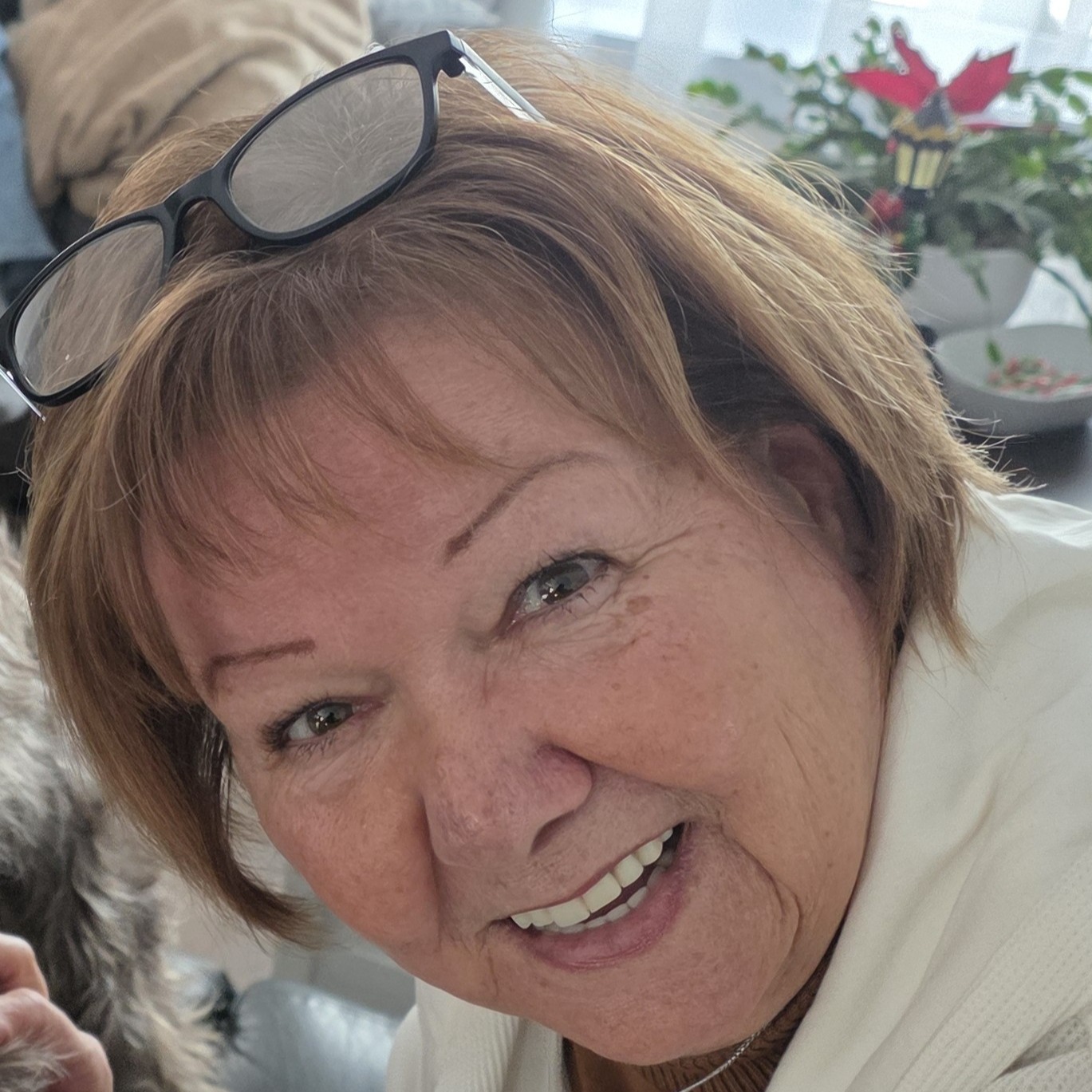 Image du participant