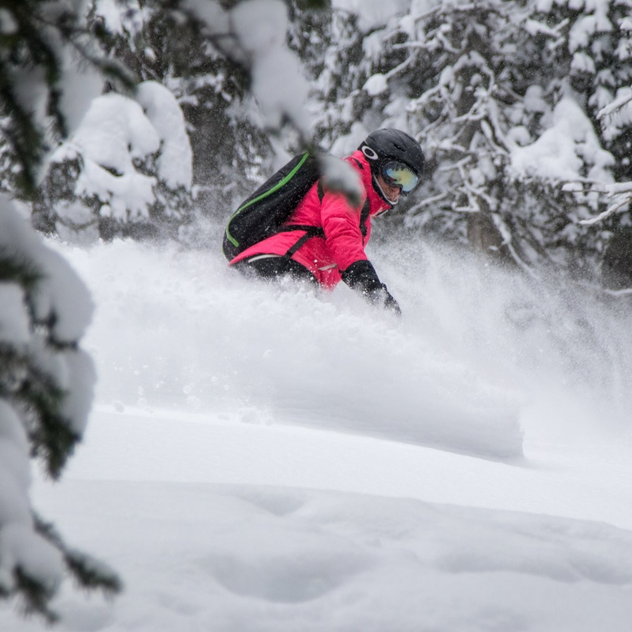 Image du participant