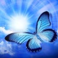 Image du participant