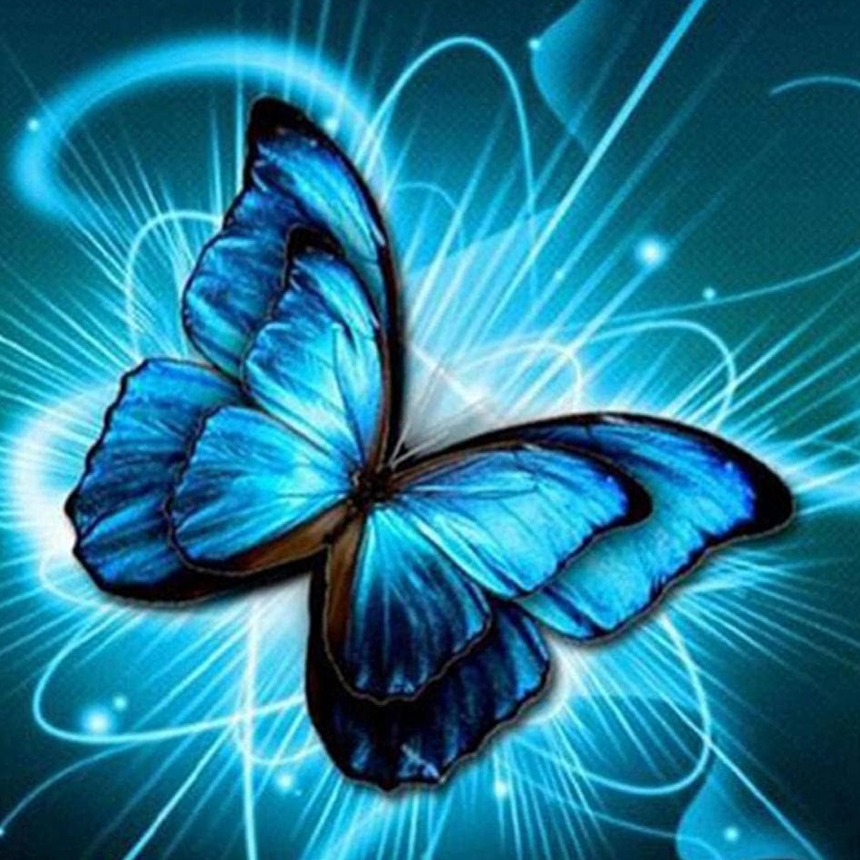 Image du participant