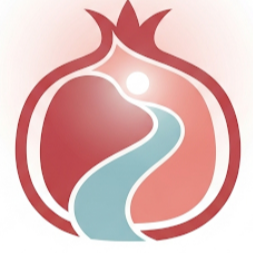 Image de l'équipe
