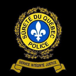 Image de l'équipe