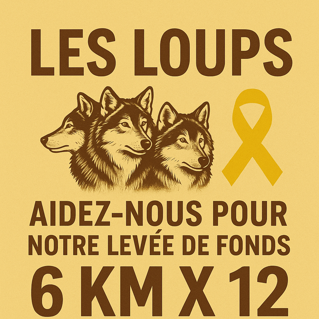 Image de l'équipe