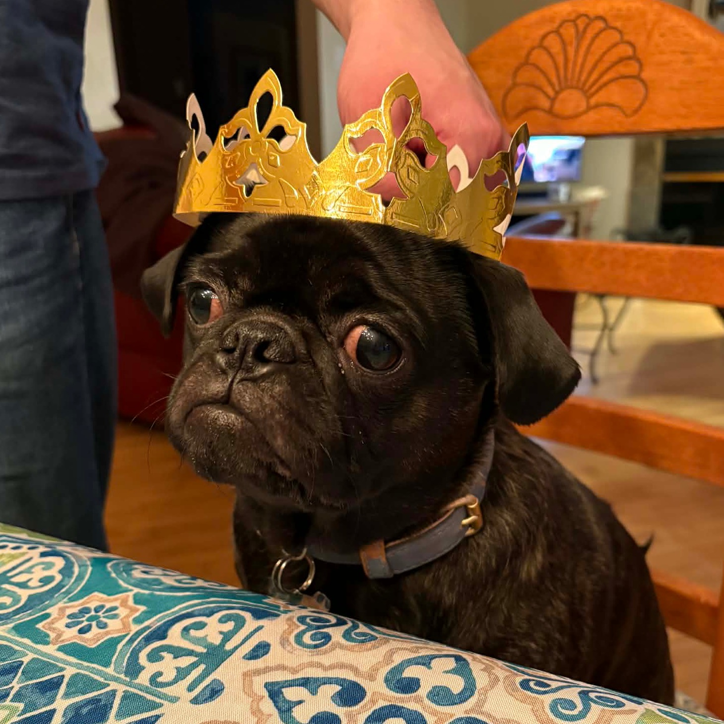 Image du participant