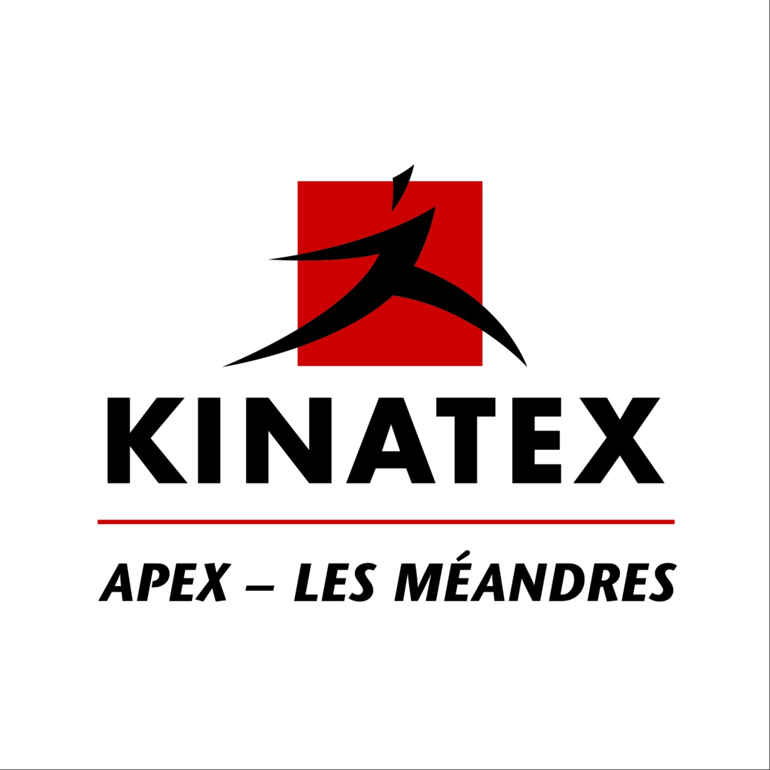 Image de l'équipe