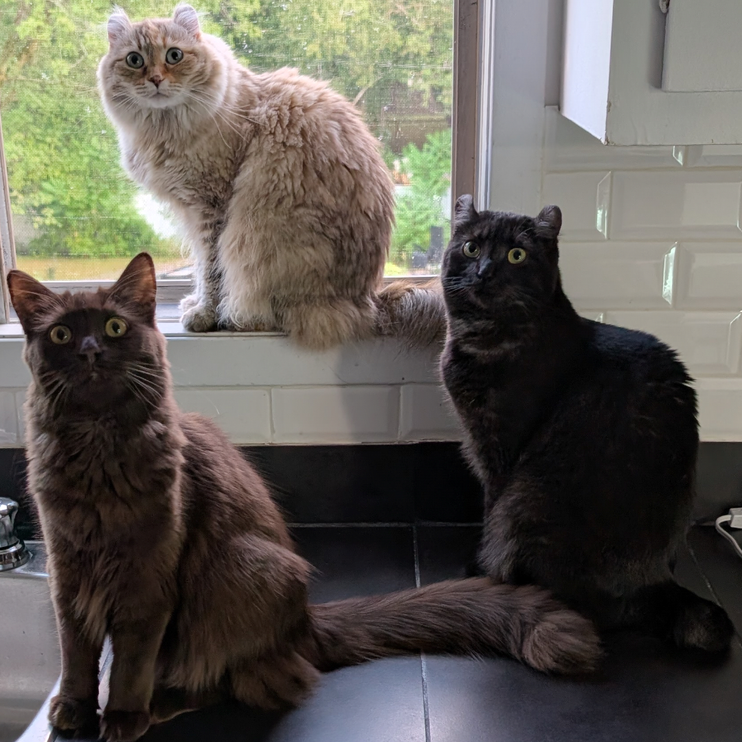 Image du participant