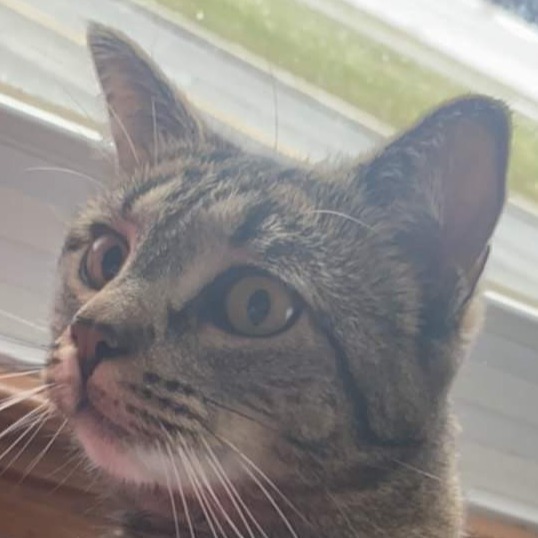 Image du participant