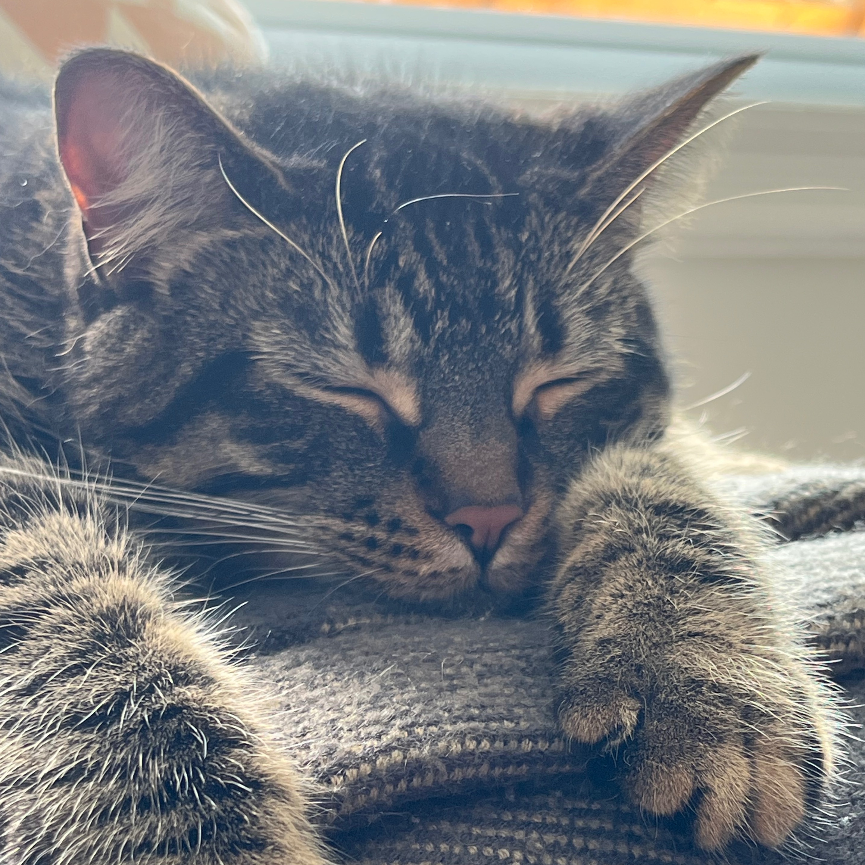 Image du participant