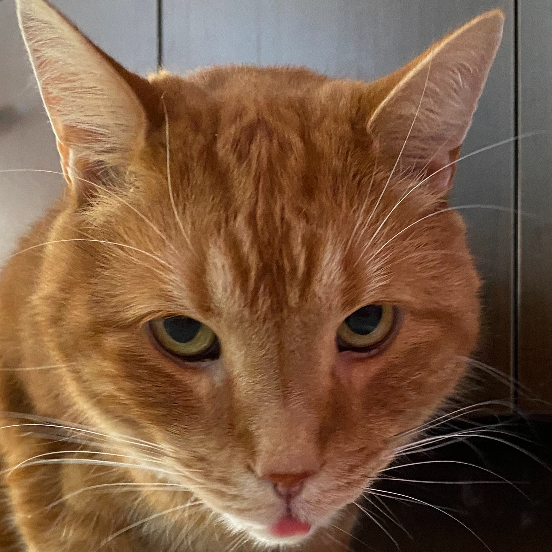 Image du participant