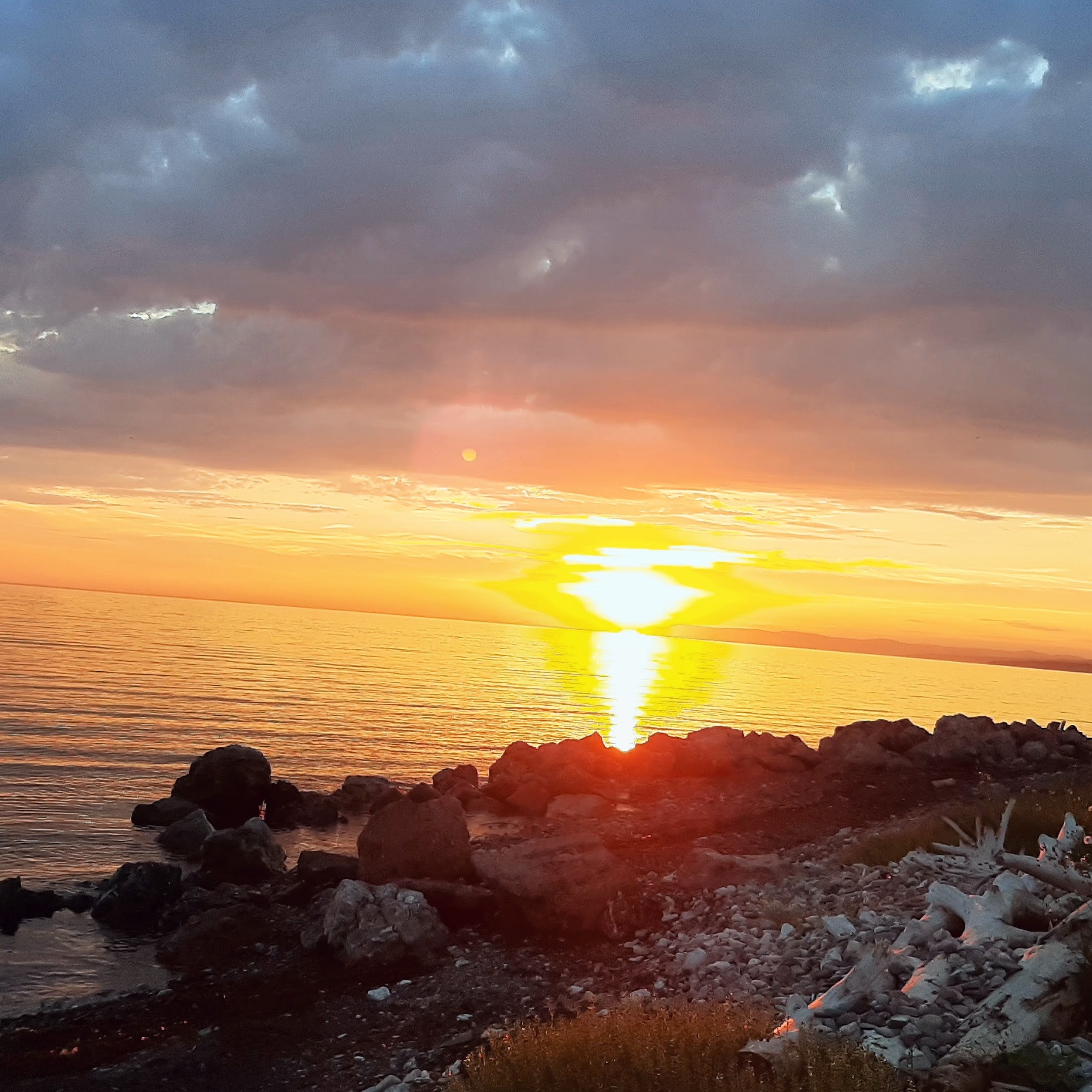 Image du participant