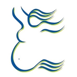 Image de l'équipe