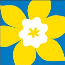 Image de l'équipe