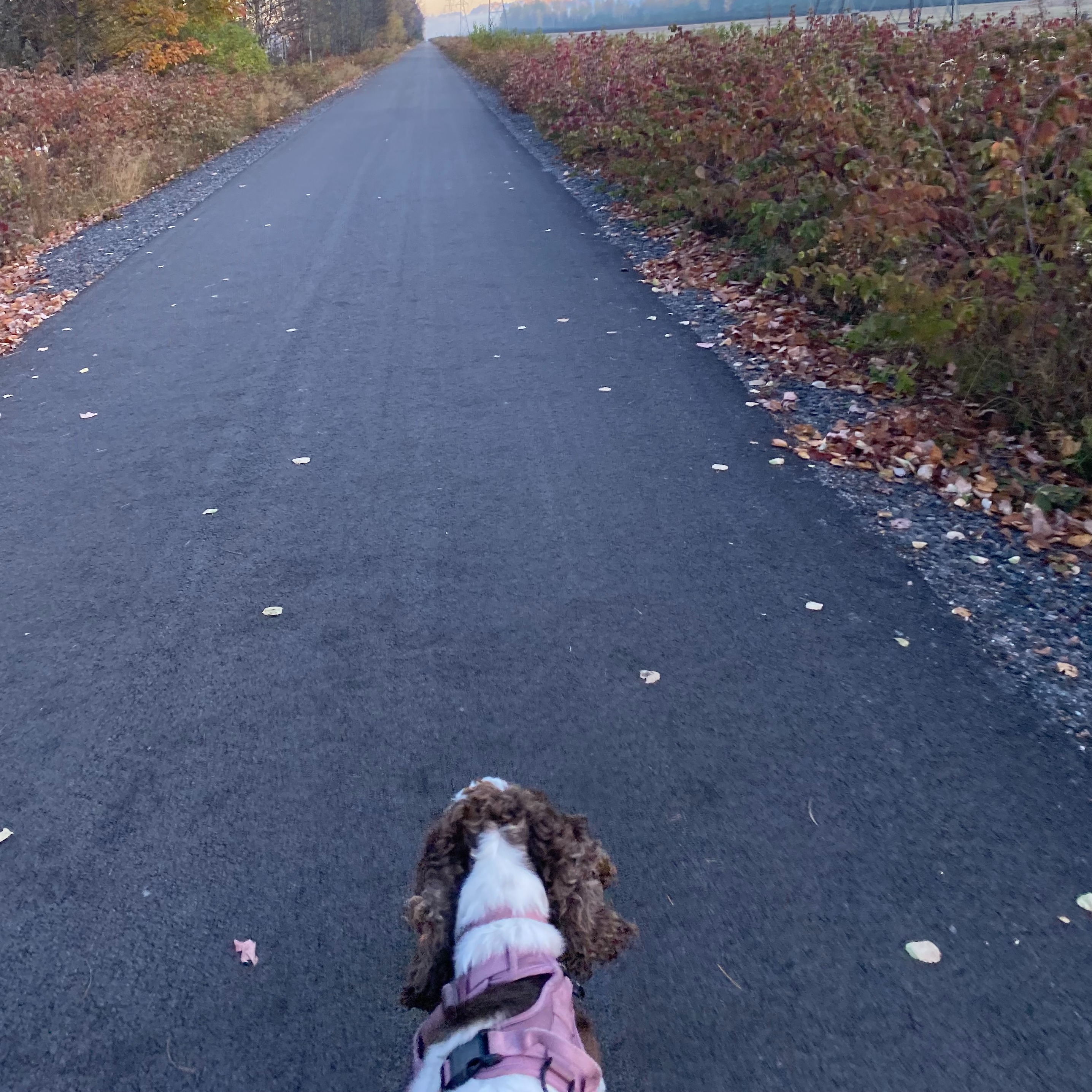 Image du participant