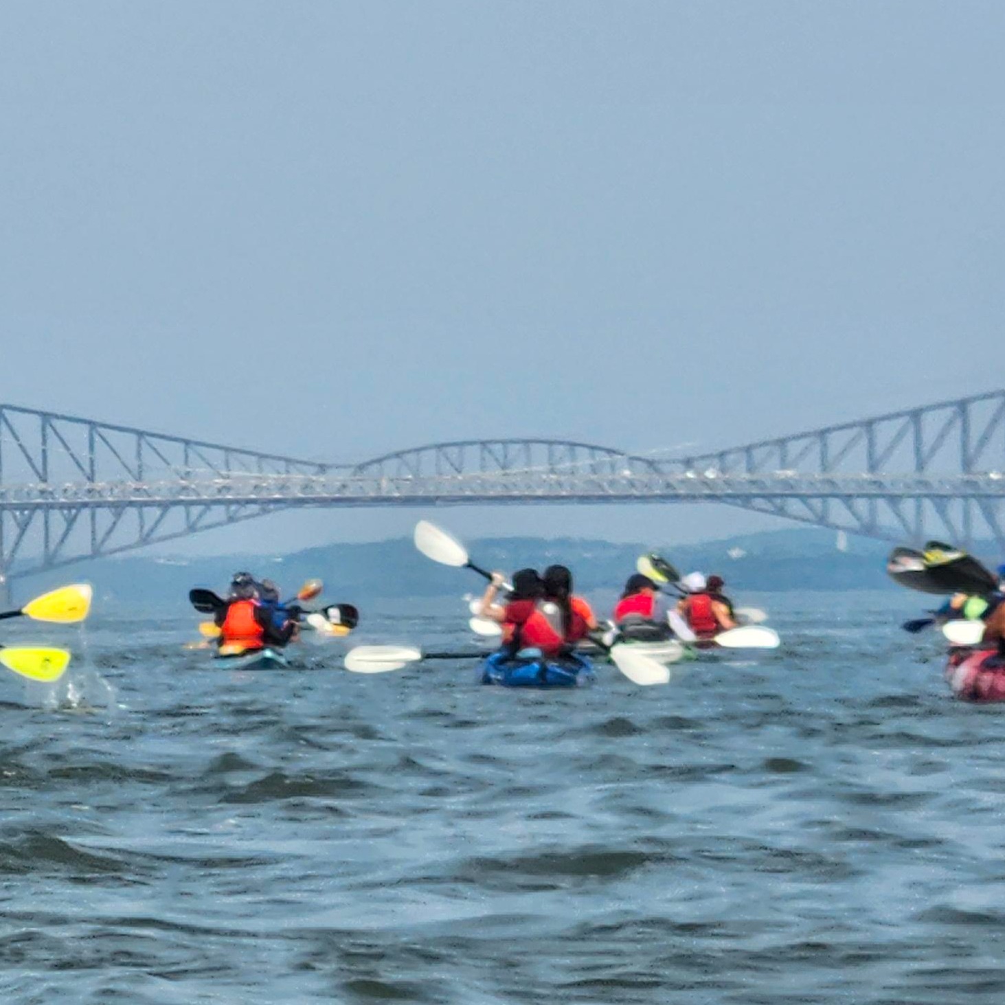 Image du participant