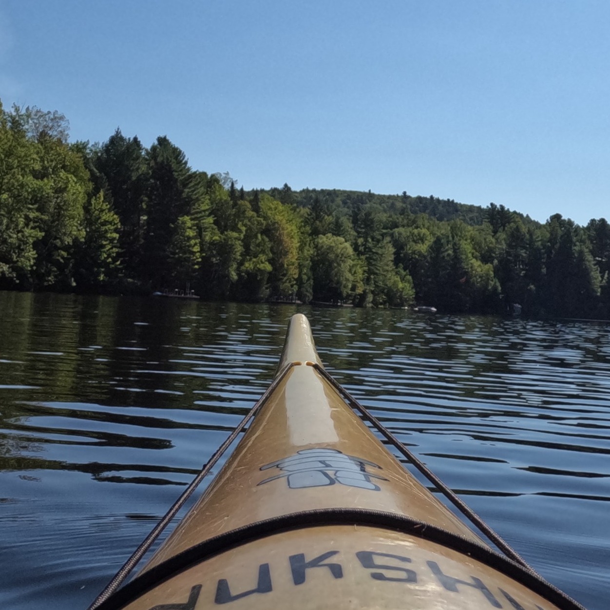 Image du participant