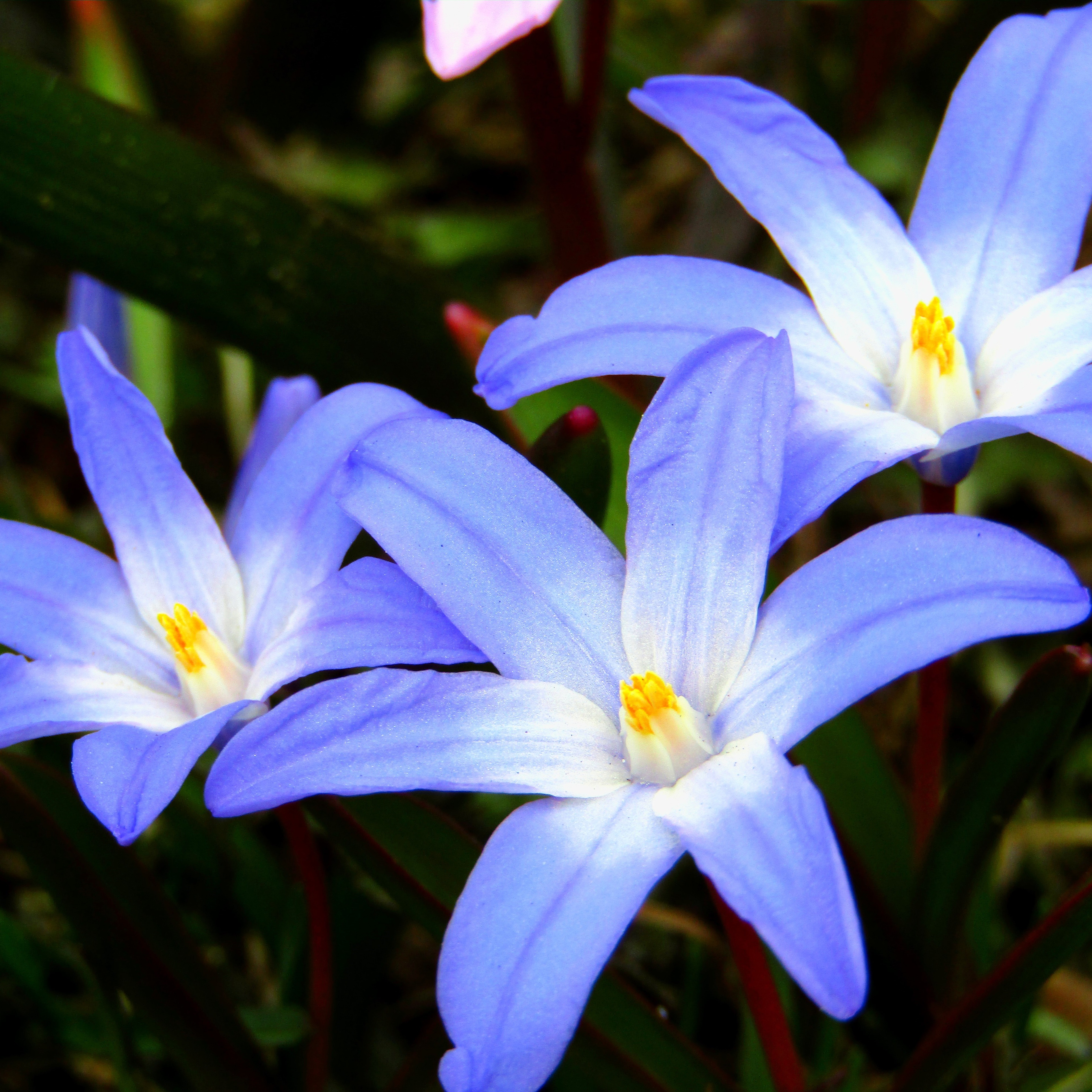 Image du participant