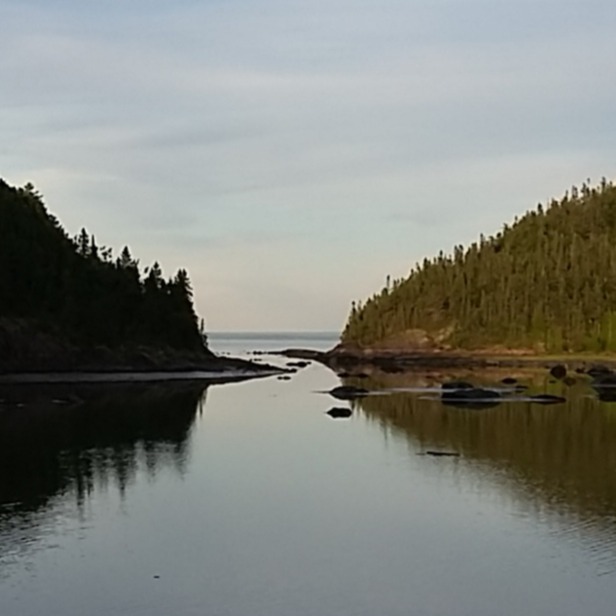 Image du participant