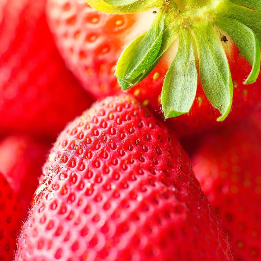 Image du participant