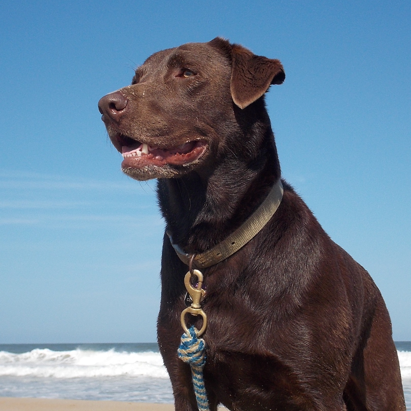 Image du participant