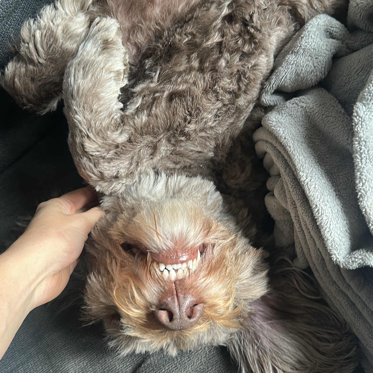 Image du participant