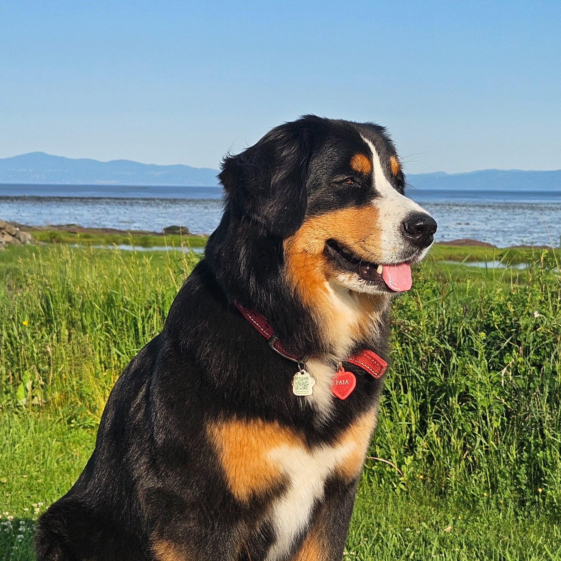 Image du participant