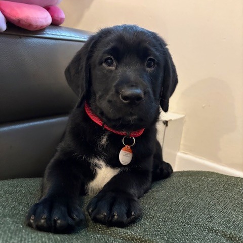 Image du participant