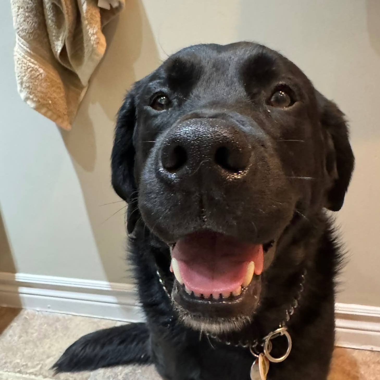 Image du participant